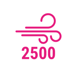Puff 2500