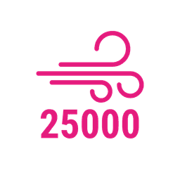 Puff 25000