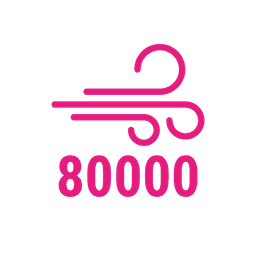Puff 80000